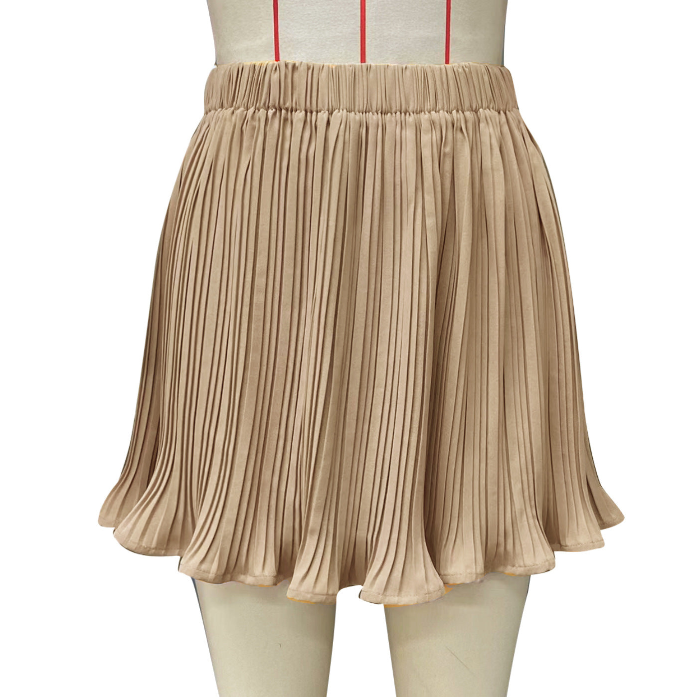 Pleated Skirt Mini Skirt